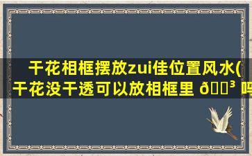干花相框摆放zui
佳位置风水(干花没干透可以放相框里 🐳 吗)